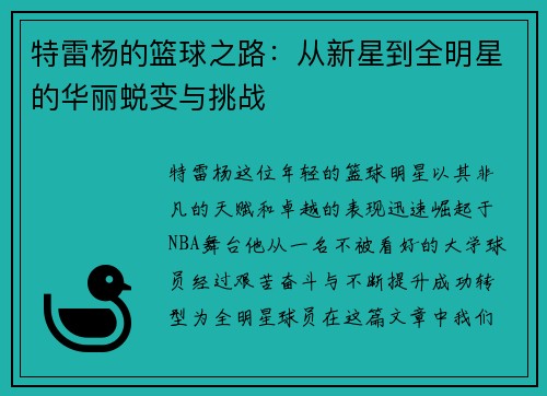 特雷杨的篮球之路：从新星到全明星的华丽蜕变与挑战