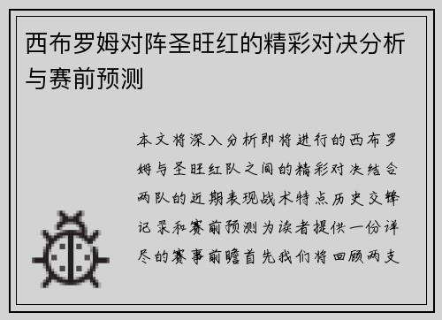 西布罗姆对阵圣旺红的精彩对决分析与赛前预测